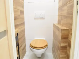 Pronájem bytu 2+1, Ostrava - Hrabůvka, Alberta Kučery, 52 m2