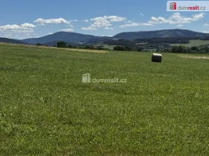 Prodej komerčního pozemku, Vlachovo Březí, Pražská, 1164 m2