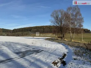 Prodej komerčního pozemku, Vlachovo Březí, Pražská, 2327 m2
