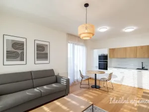 Pronájem bytu 1+kk, Praha - Malešice, Mölzerova, 30 m2