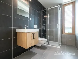 Pronájem bytu 1+kk, Praha - Malešice, Mölzerova, 30 m2