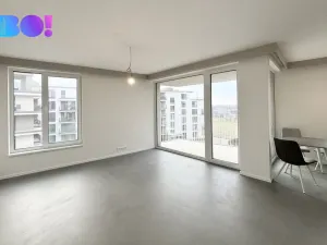 Pronájem bytu 2+kk, Ostrava, F. X. Riepla, 61 m2