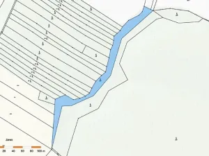 Prodej lesa, Dolní Vilémovice, 5435 m2