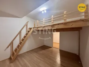 Pronájem bytu 1+1, Opava, Ochranova, 36 m2