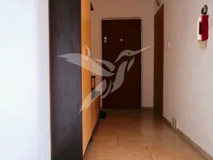 Pronájem bytu 2+1, Plzeň, Sokolovská, 63 m2