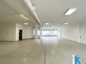 Pronájem obchodního prostoru, Prostějov, Wolkerova, 173 m2