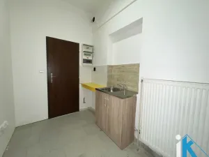 Pronájem obchodního prostoru, Prostějov, Wolkerova, 173 m2