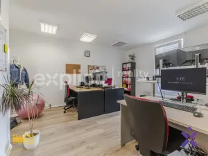 Pronájem obchodního prostoru, Uherské Hradiště, Otakarova, 199 m2