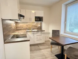 Pronájem bytu 1+1, Hodonín, Pančava, 31 m2