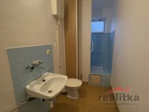 Pronájem bytu 1+1, Opava - Předměstí, Ovocná, 35 m2