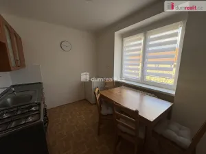 Prodej bytu 1+1, Příbram - Příbram VII, Mariánská, 32 m2