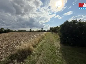 Prodej pozemku pro bydlení, Husinec, Na Kazatelně, 1198 m2