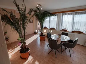 Prodej rodinného domu, Hrušovany nad Jevišovkou, Drnholecká, 160 m2