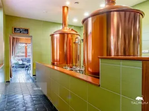 Prodej kanceláře, Rokycany - Plzeňské Předměstí, Sokolská, 413 m2