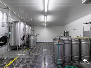 Prodej kanceláře, Rokycany - Plzeňské Předměstí, Sokolská, 413 m2