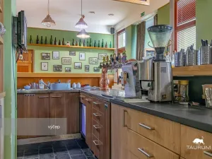 Prodej restaurace, Rokycany - Plzeňské Předměstí, Sokolská, 413 m2