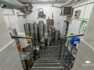 Prodej restaurace, Rokycany - Plzeňské Předměstí, Sokolská, 413 m2