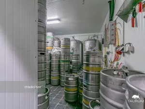 Prodej restaurace, Rokycany - Plzeňské Předměstí, Sokolská, 413 m2