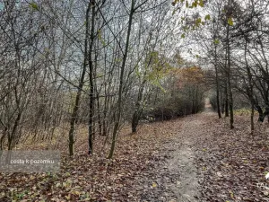 Prodej pozemku, Jílové u Prahy, 3438 m2