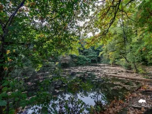 Prodej chaty, Velký Chlumec, 35 m2