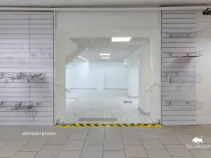 Prodej obchodního prostoru, Karlovy Vary, Vítězná, 147 m2