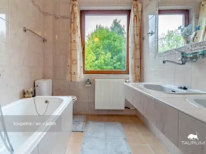 Prodej rodinného domu, Horšovský Týn - Velké Předměstí, Na stráni, 342 m2