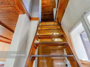 Prodej chaty, Stříbro - Butov, 73 m2