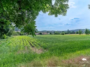 Prodej pozemku pro bydlení, Chodouň, 6761 m2