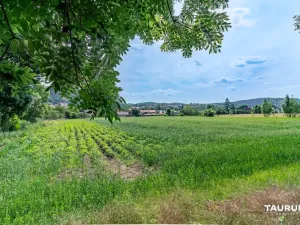 Prodej pozemku pro bydlení, Chodouň, 6761 m2
