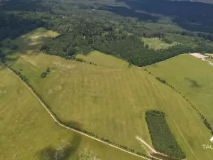 Prodej pozemku, Chudenín, 139968 m2