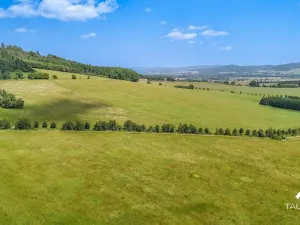 Prodej pozemku, Chudenín, 139968 m2