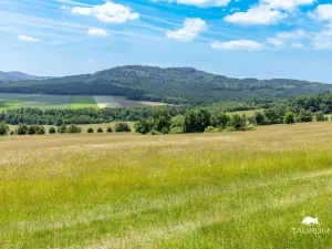 Prodej pozemku, Chudenín, 139968 m2