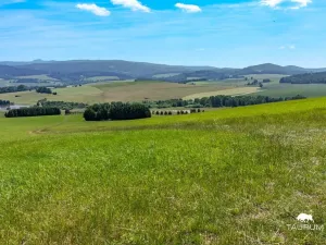 Prodej pozemku, Chudenín, 139968 m2