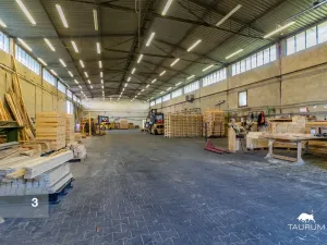 Prodej výrobních prostor, Vojkovice, 12027 m2