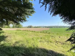 Prodej pozemku pro bydlení, Plzeň, 1929 m2