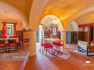 Prodej chalupy, Ošelín, č.ev., 275 m2