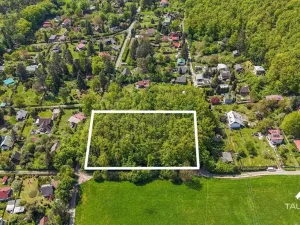 Prodej lesa, Petrov, 6490 m2