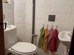 Pronájem komerční nemovitosti, Mimoň, Pražská, 80 m2