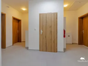 Prodej bytu 2+1, Janovice nad Úhlavou, Rozvojová zóna, 74 m2