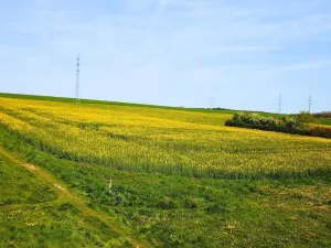 Prodej pozemku pro bydlení, Stříbro, 7355 m2