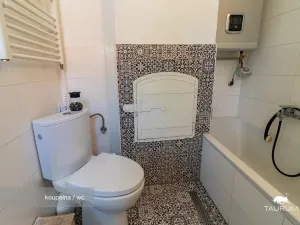 Prodej rodinného domu, Chocenice, 280 m2