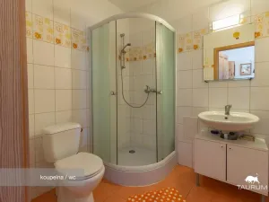 Prodej rodinného domu, Chocenice, 280 m2