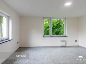 Prodej kanceláře, Plzeň - Jižní Předměstí, Kaplířova, 50 m2