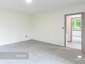 Prodej kanceláře, Plzeň - Jižní Předměstí, Kaplířova, 50 m2