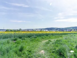 Prodej komerčního pozemku, Stříbro, 7355 m2