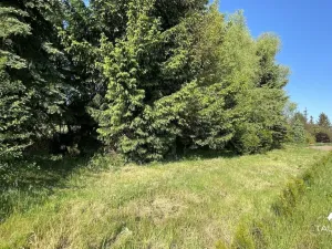 Prodej pozemku pro bydlení, Plzeň, 910 m2