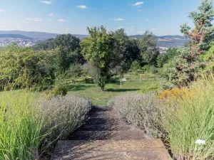 Prodej rodinného domu, Ústí nad Labem - Střekov, Novoveská, 176 m2