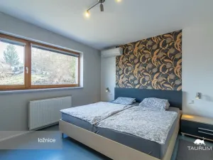 Prodej rodinného domu, Ústí nad Labem - Střekov, Novoveská, 176 m2