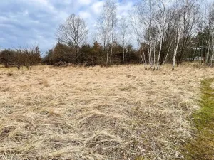 Prodej komerčního pozemku, Dalovice, 11759 m2