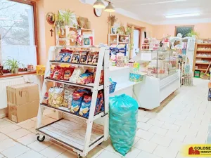 Pronájem obchodního prostoru, Dyje, 69 m2